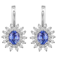 Blue Sapphire Earrings in 18 Karat White Gold