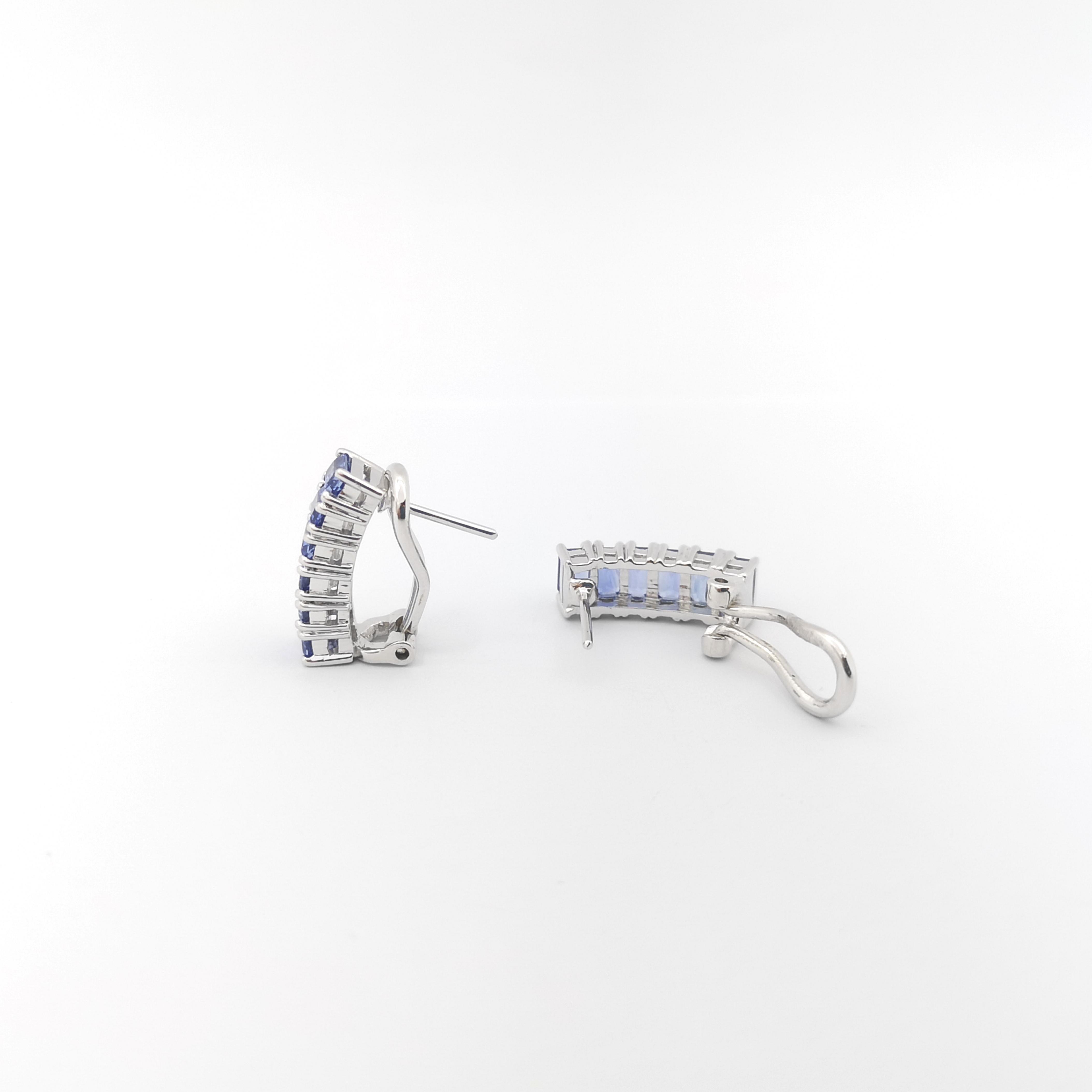 Women's Blue Sapphire Earrings set in 18K White Gold Settings For Sale