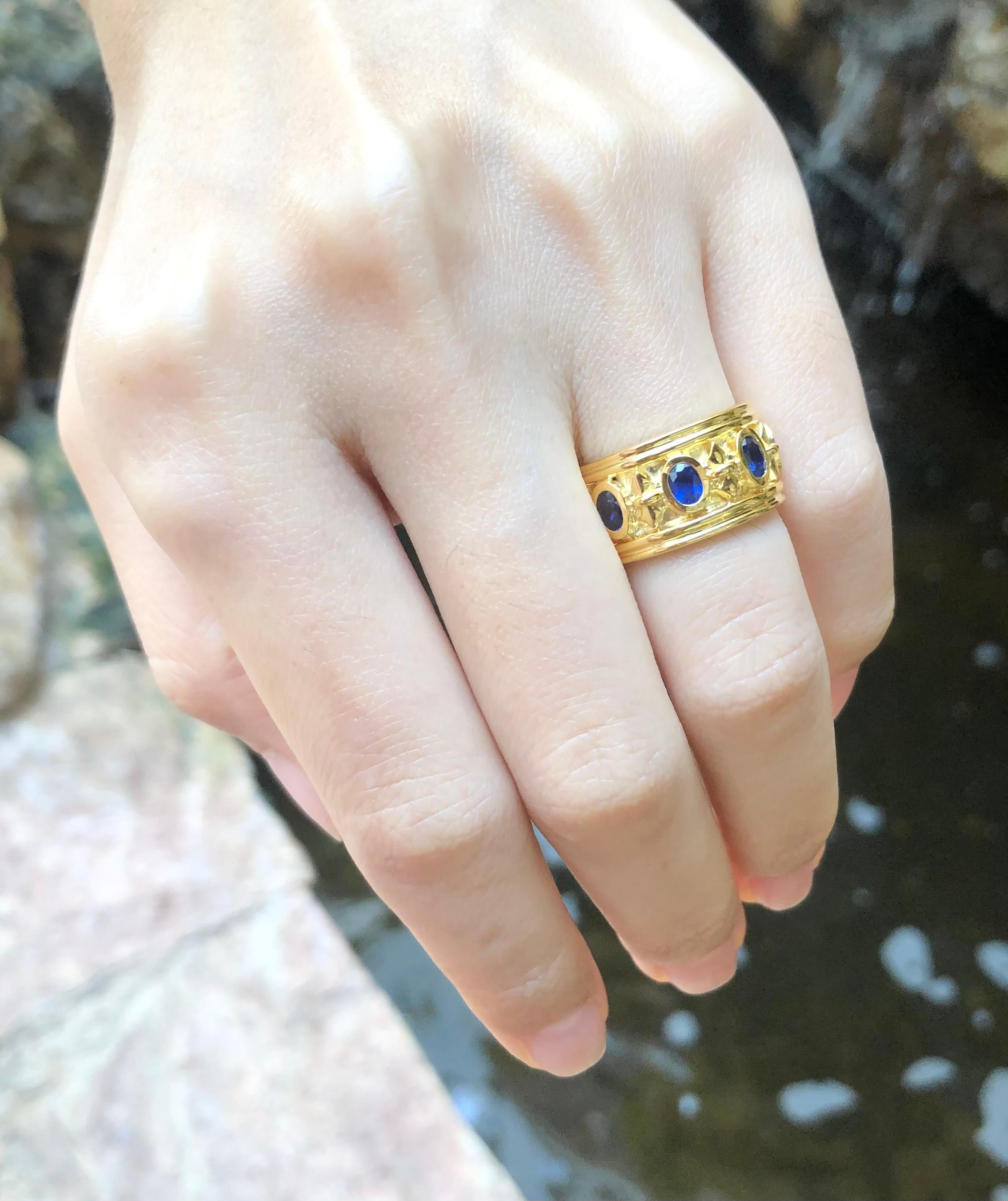 Oval Cut Blue Sapphire Ring Set in 18 Karat Gold Settings For Sale