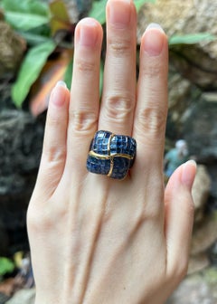 Blue Sapphire Ring set in 18K Gold Settings