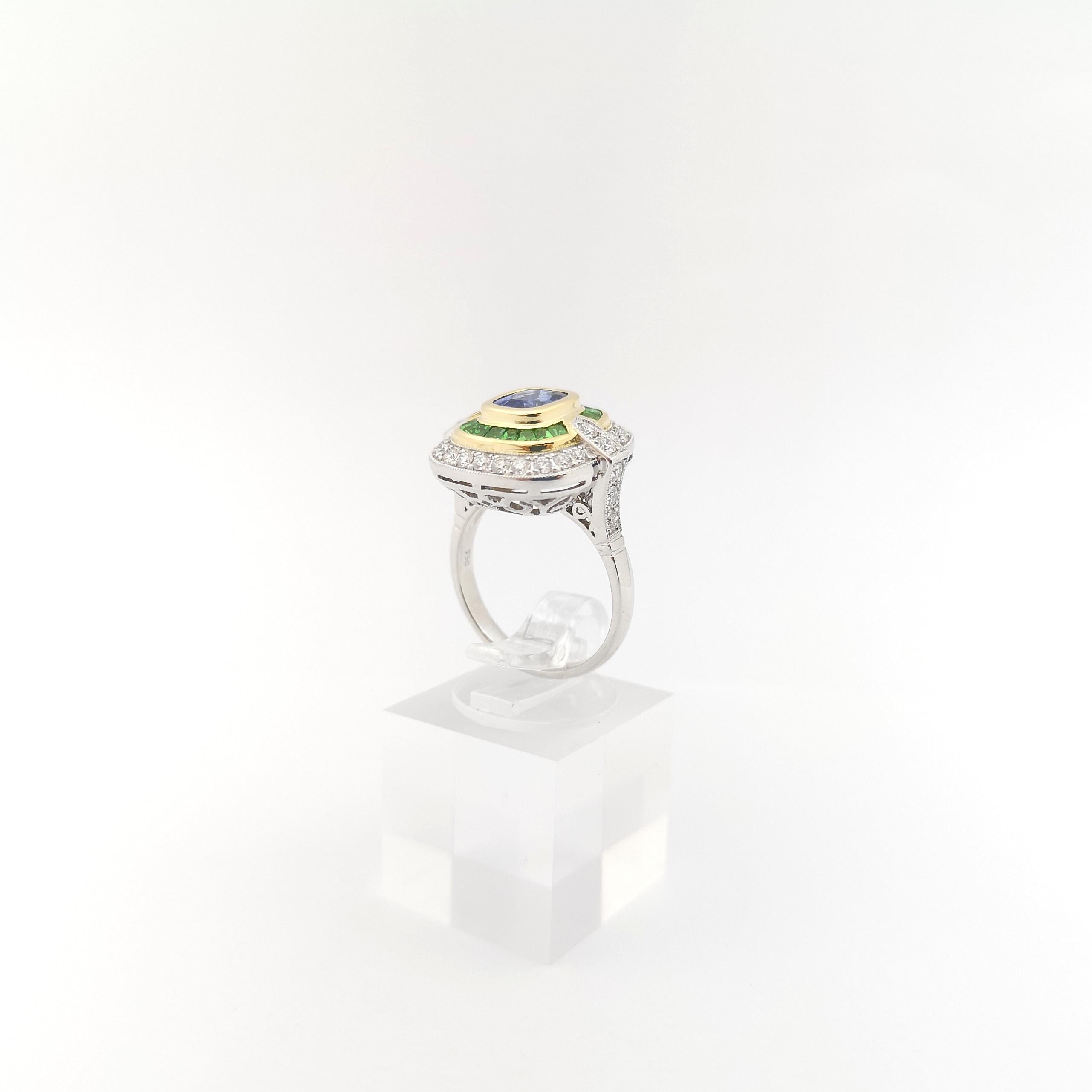 Blue Sapphire, Tsavorite and Diamond Ring set in 18K White Gold Settings For Sale 4