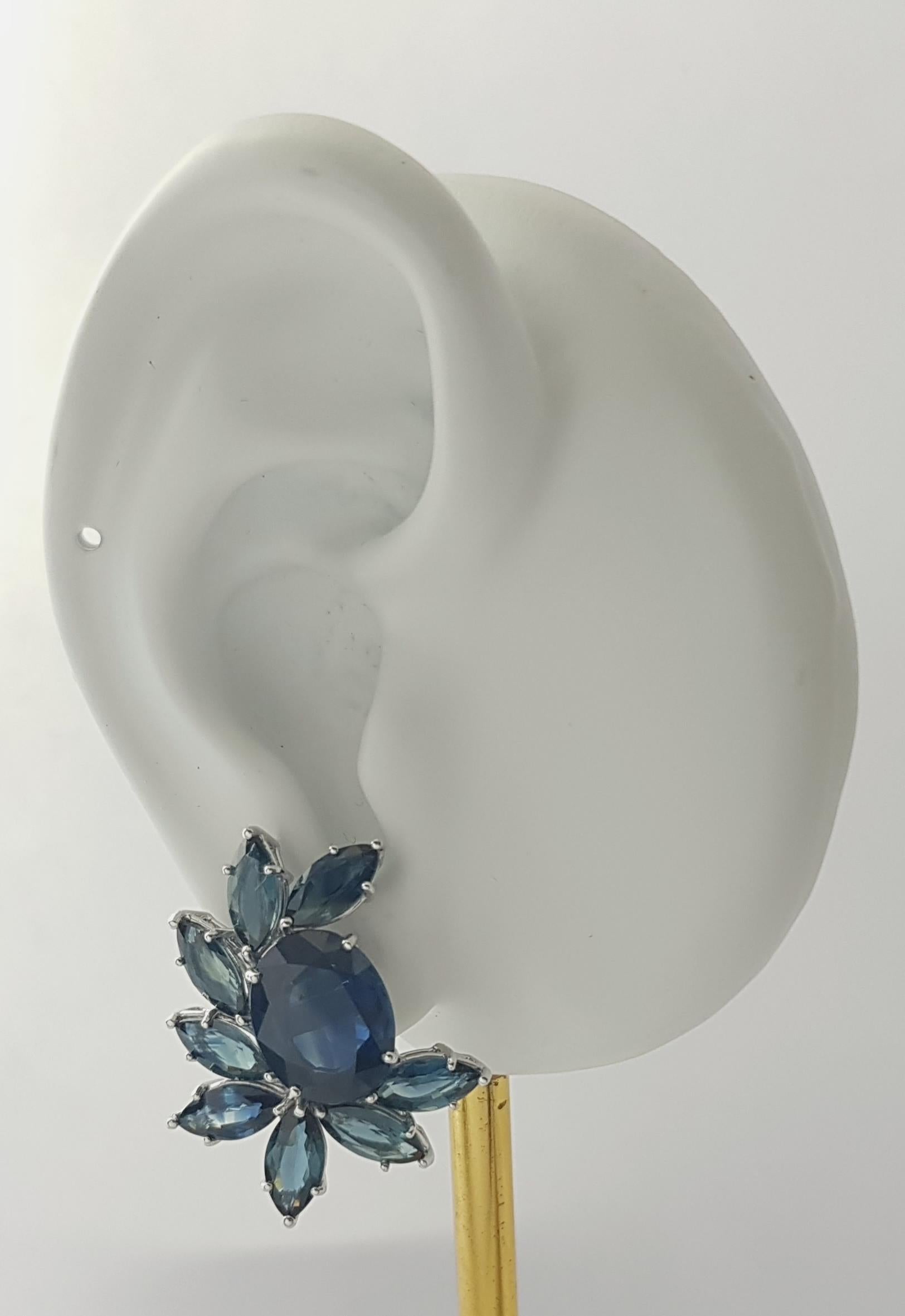 Zaffiro blu 9,97 carati con zaffiro blu 10,28 carati Orecchini con montatura in oro bianco 18 carati

Larghezza: 2.3 cm 
Lunghezza: 2.9 cm
Peso totale: 11,80 grammi

