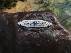 Blauer blauer Saphir mit Diamant Brosche in 18 Karat Weißgold Fassung