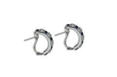 Blue Sapphire with Diamond Earrings in 18 Karat White Gold Settings