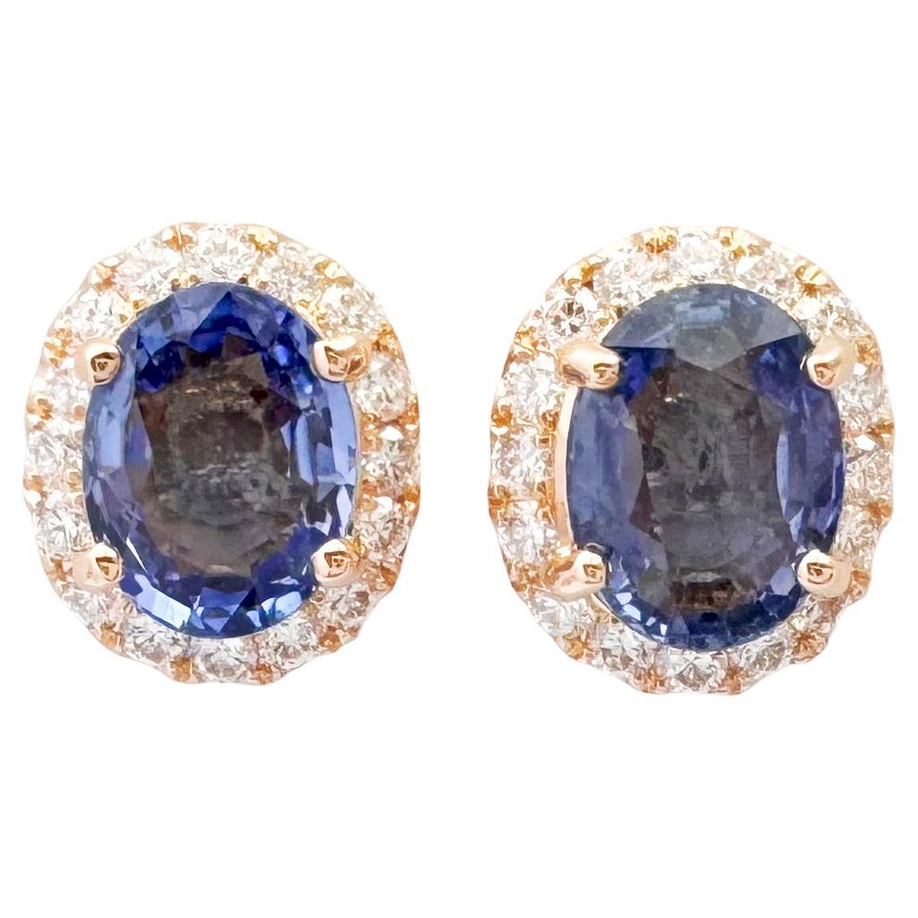 Blue Sapphire with Diamond Earrings set in 18K Rose Gold Settings For Sale