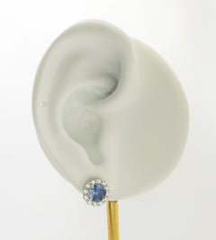Blue Sapphire with Diamond Earrings set in 18K White Gold Settings
