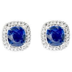 Blue Sapphire with Diamond Earrings set in 18K White Gold Settings
