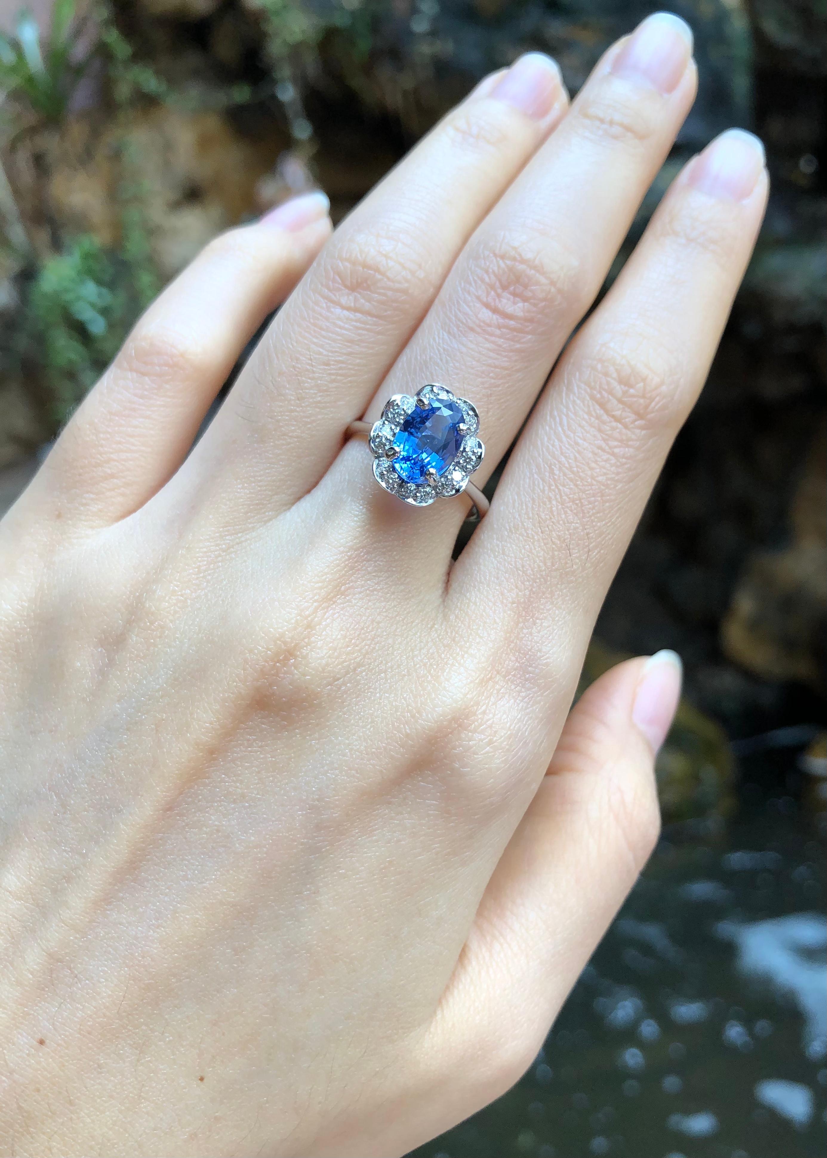 Blauer Saphir 2,22 Karat mit Diamant 0,24 Karat Ring in 18 Karat Weißgold gefasst

Breite:  1.1 cm 
Länge: 1.4 cm
Ringgröße: 53
Gesamtgewicht: 4,93 Gramm


