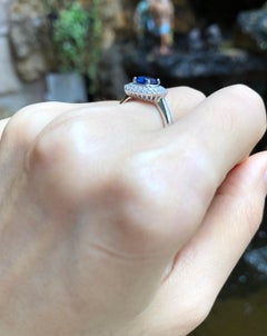 Blue Sapphire with Diamond Ring Set in 18 Karat White Gold Settings