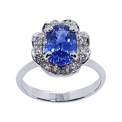 Blue Sapphire with Diamond Ring Set in 18 Karat White Gold Settings