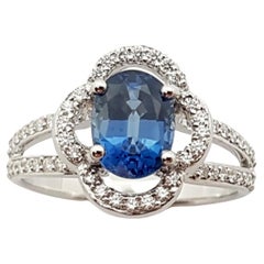 Blue Sapphire with Diamond Ring Set in 18 Karat White Gold Settings