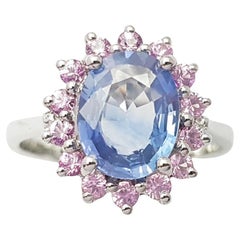 Anello con zaffiro blu e zaffiro rosa con montatura in oro bianco 14K
