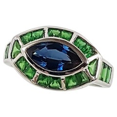 Blue Sapphire with Tsavorite Ring Set in 18 Karat White Settings