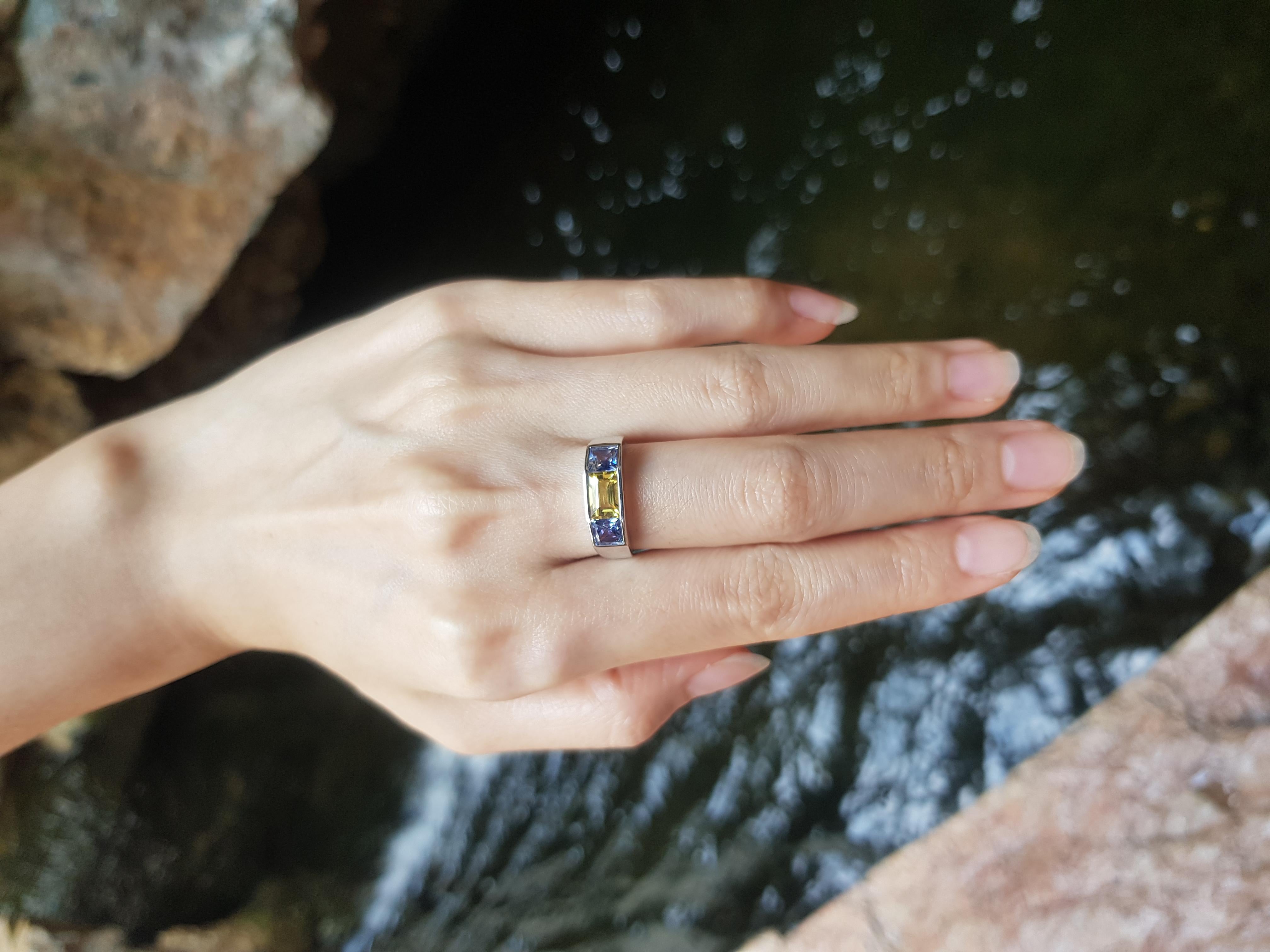 Blue Sapphire with Yellow Sapphire Ring set in 18K White Gold Settings For Sale 2