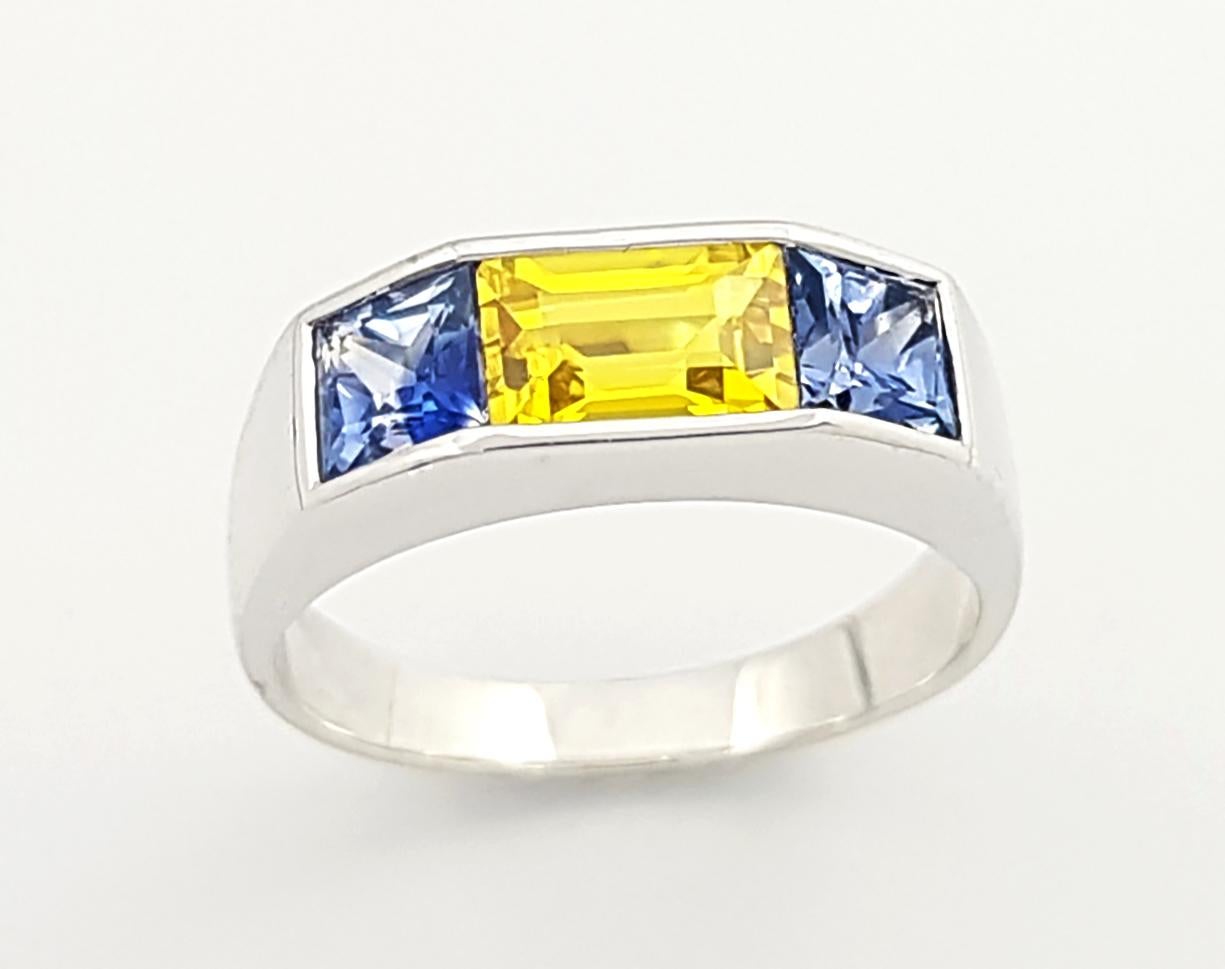 Blue Sapphire with Yellow Sapphire Ring set in 18K White Gold Settings For Sale 3
