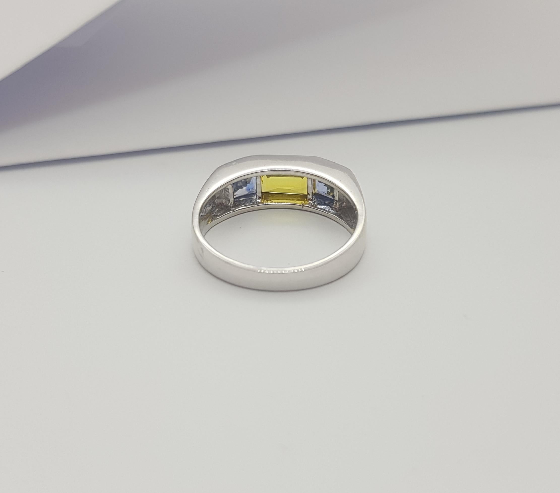 Blue Sapphire with Yellow Sapphire Ring set in 18K White Gold Settings For Sale 10