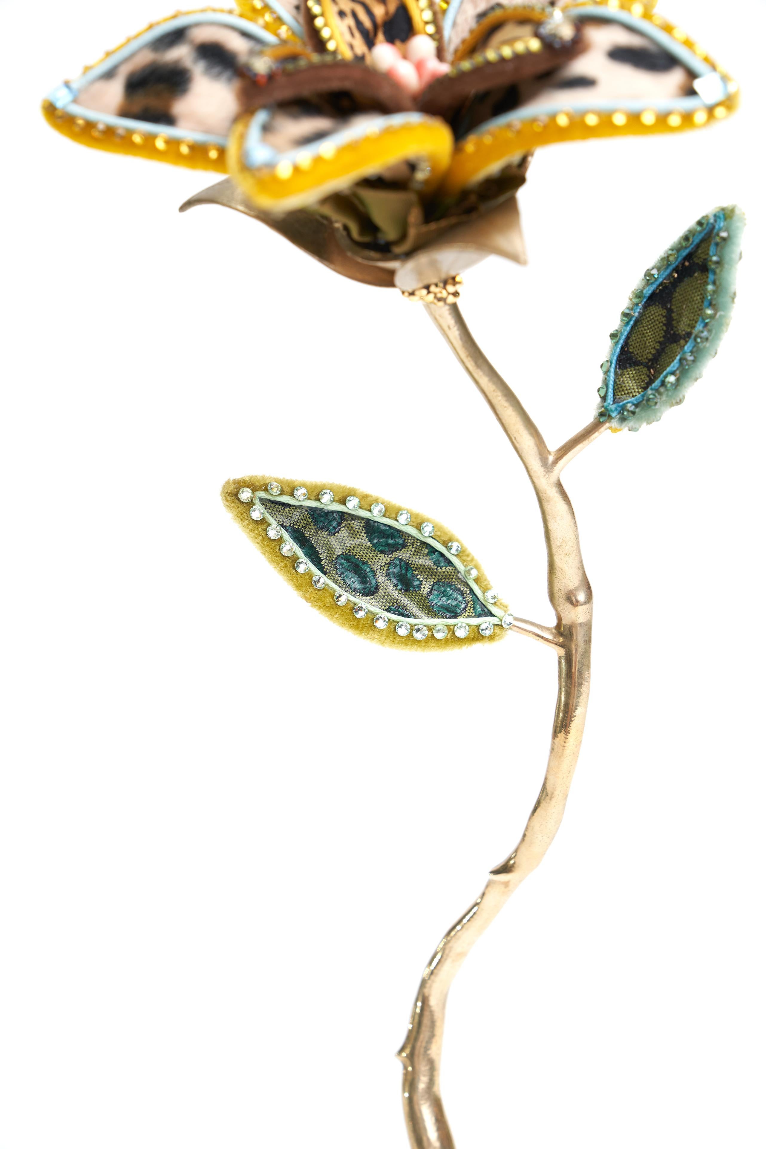 Blaue Sonnenstrahl-Leopardenblume (amerikanisch) im Angebot