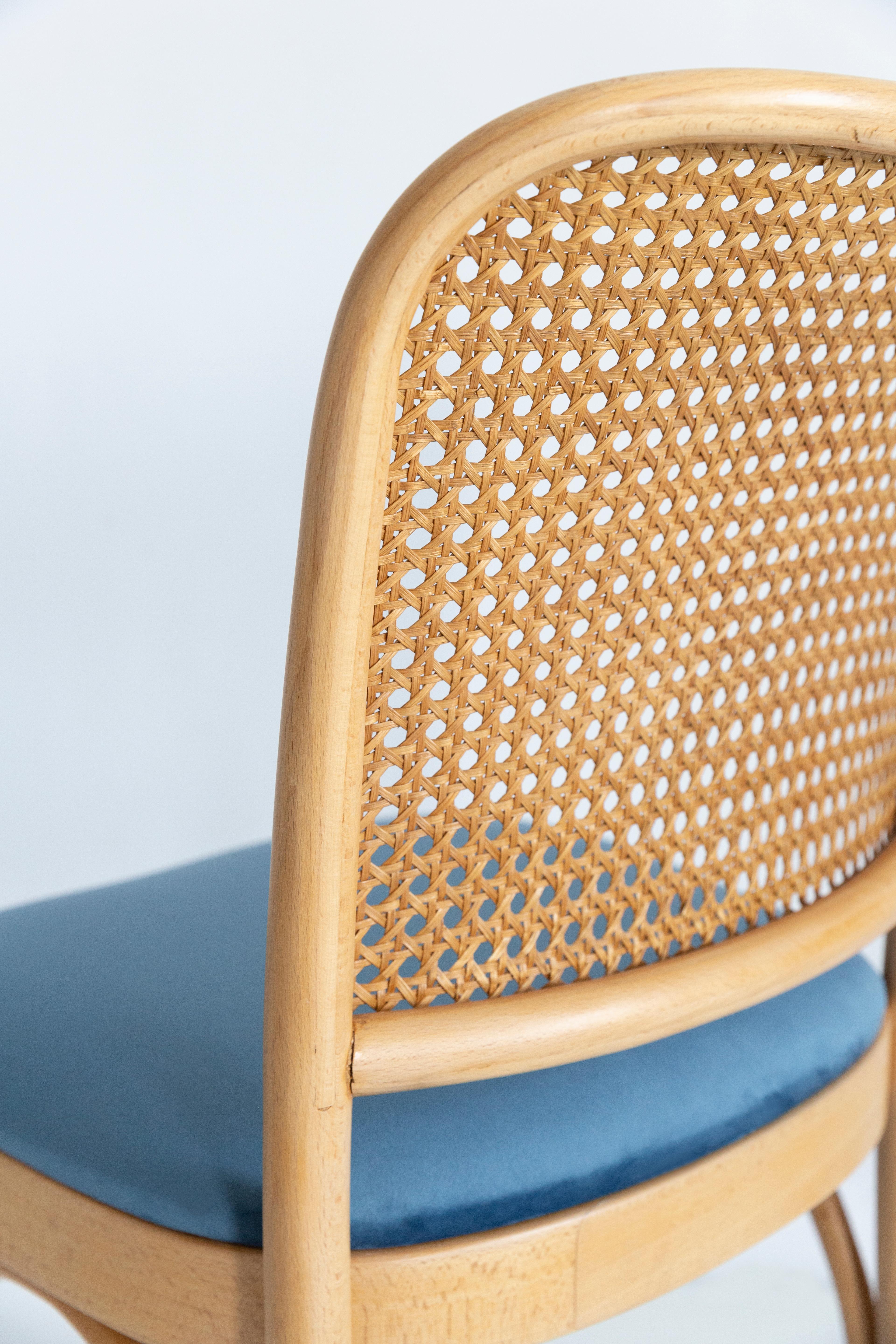 20th Century Blue Velvet Thonet Wood Rattan Chair, 1960s For Sale