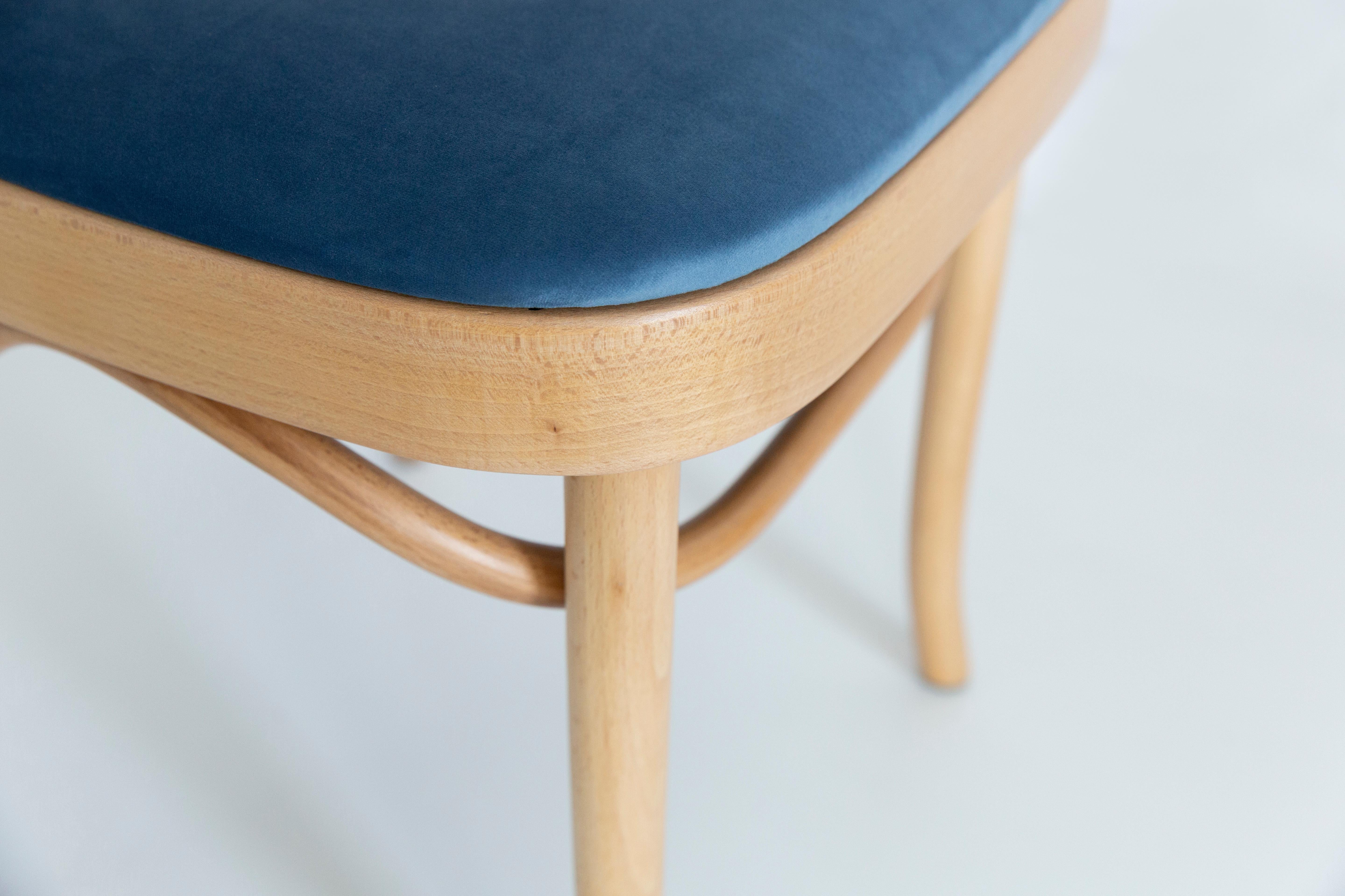 Polish Blue Velvet Thonet Wood Rattan Chair, 1960s For Sale