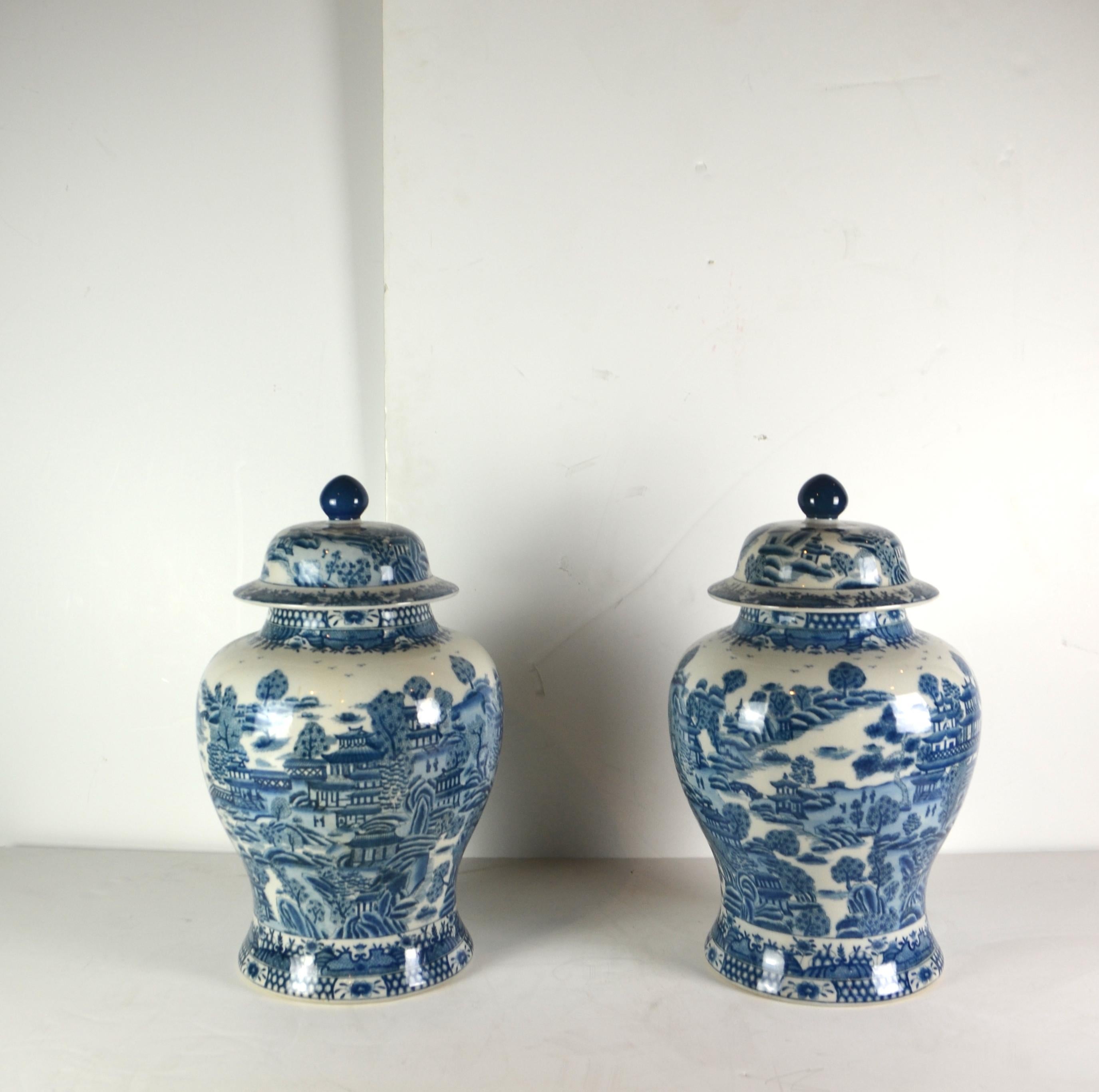 Chinese Blue & White Ginger Jars Set of 2