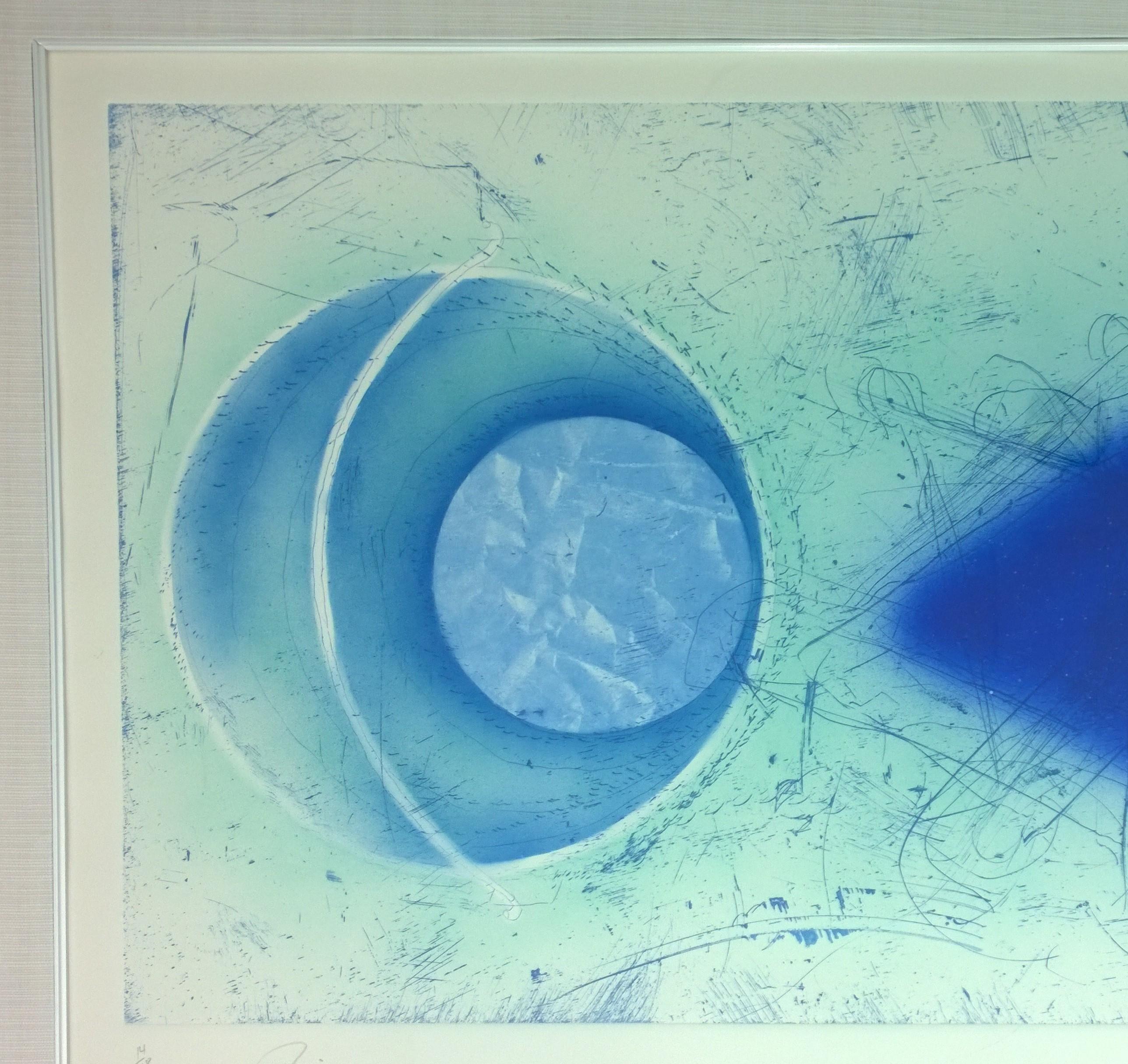 Blue & White J. Rosenquist Signed & Numbered Photo-Etching Aquatint, Rinse, 1978 For Sale 1