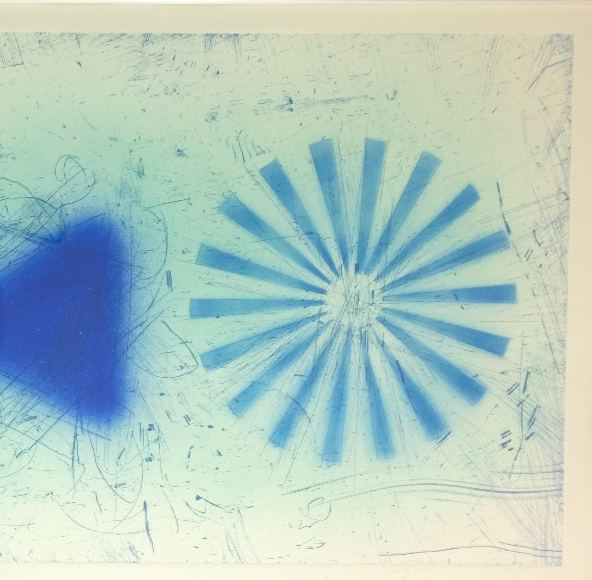 Blue & White J. Rosenquist Signed & Numbered Photo-Etching Aquatint, Rinse, 1978 For Sale 3