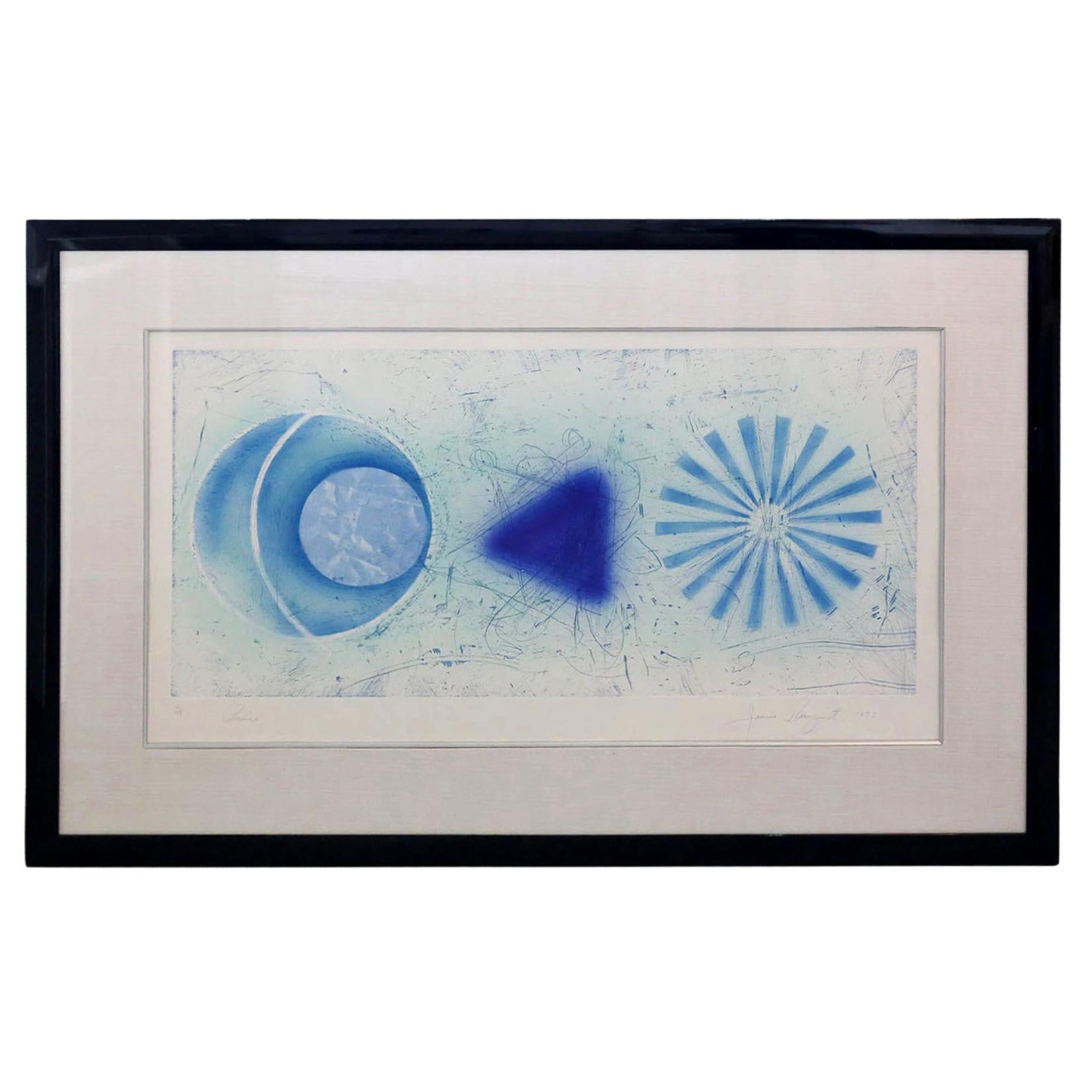 Blue & White J. Rosenquist Signed & Numbered Photo-Etching Aquatint, Rinse, 1978 For Sale
