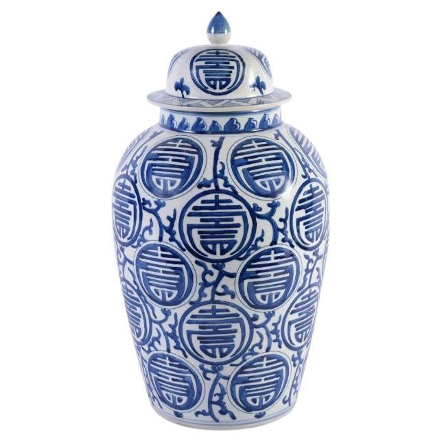 Blue & White Longevity Heaven Jar For Sale