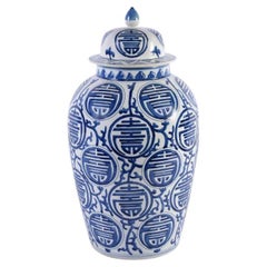 Blue & White Longevity Heaven Jar