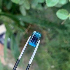 Tourmaline bicolore bleue et bleu nuit, pierre précieuse naturelle pour bijoux, 10 mm