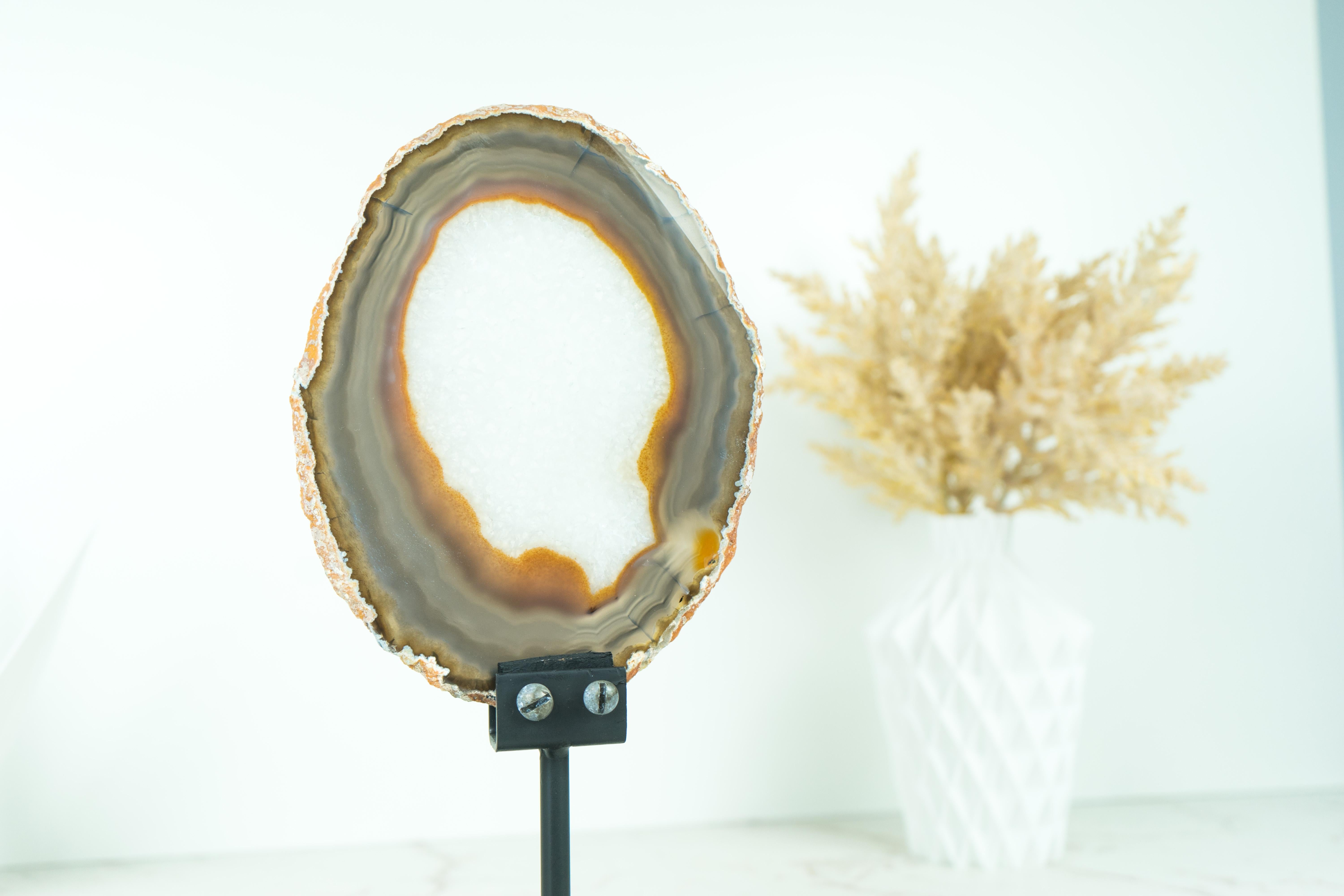 A superb slice of agate, this delicate specimen comes in a custom-made stand so you can fully enjoy it. A Soledade Agate that brings beautiful and intact bandings, where the laces grow in blue, gray, and red colors, and a mix of Circular and