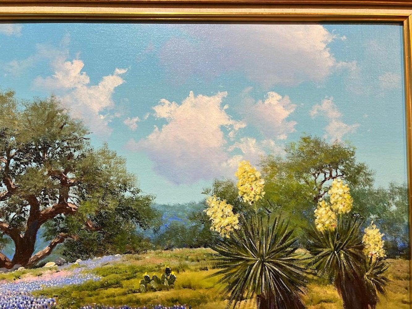 Blauebonnets, Eichenholz und Yucca im Zustand „Gut“ im Angebot in Houston, TX