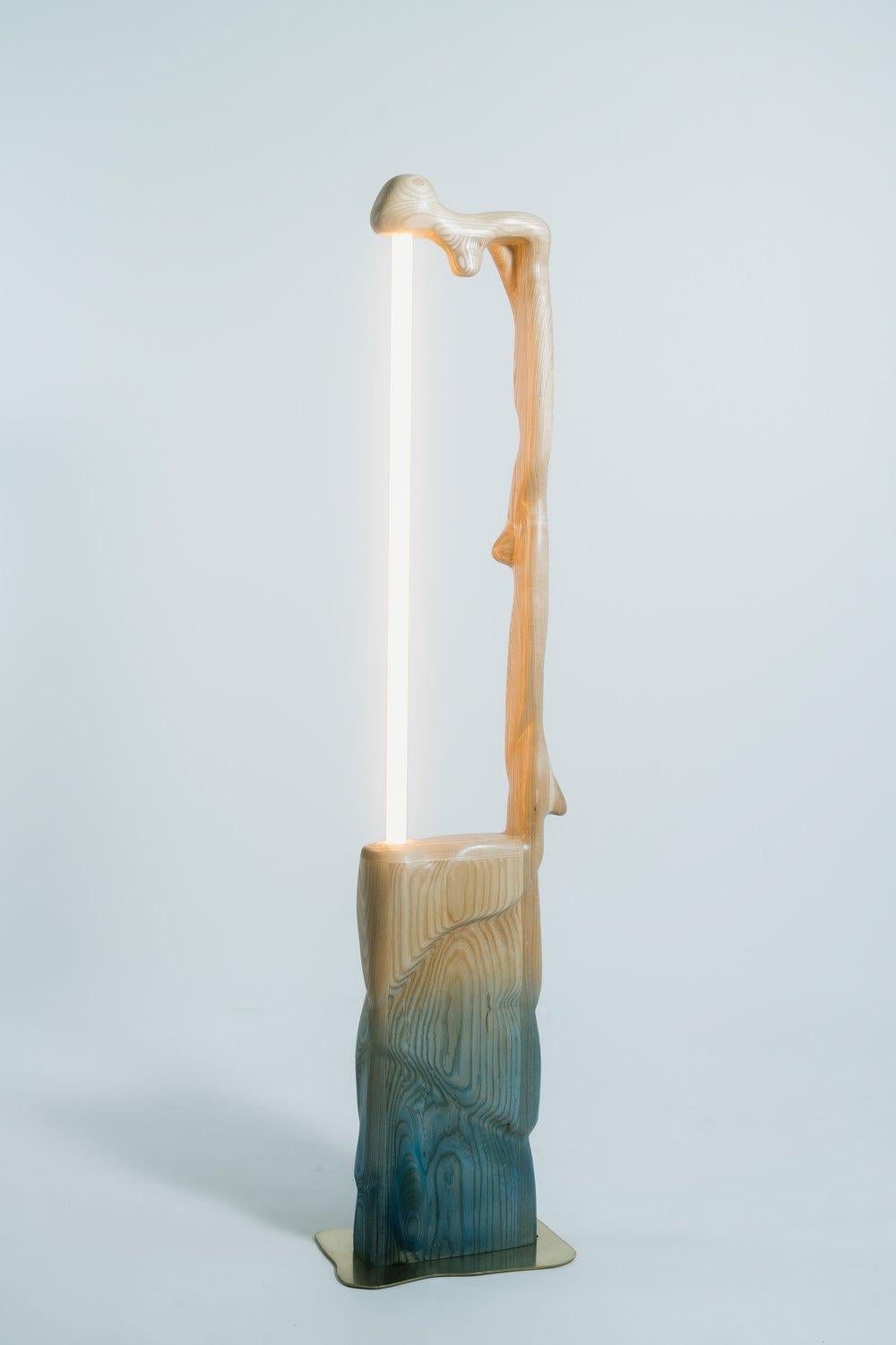 La Blueprint Collection'S dello Studio Kloak rappresenta un'attenta intersezione tra arte, architettura e coscienza ambientale. Conosciuto per le sue audaci esplorazioni della materialità e della forma, Studio Kloak è uno studio di design che sfida