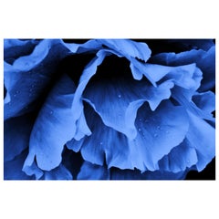 Blues by Laurel Hollis Feldman