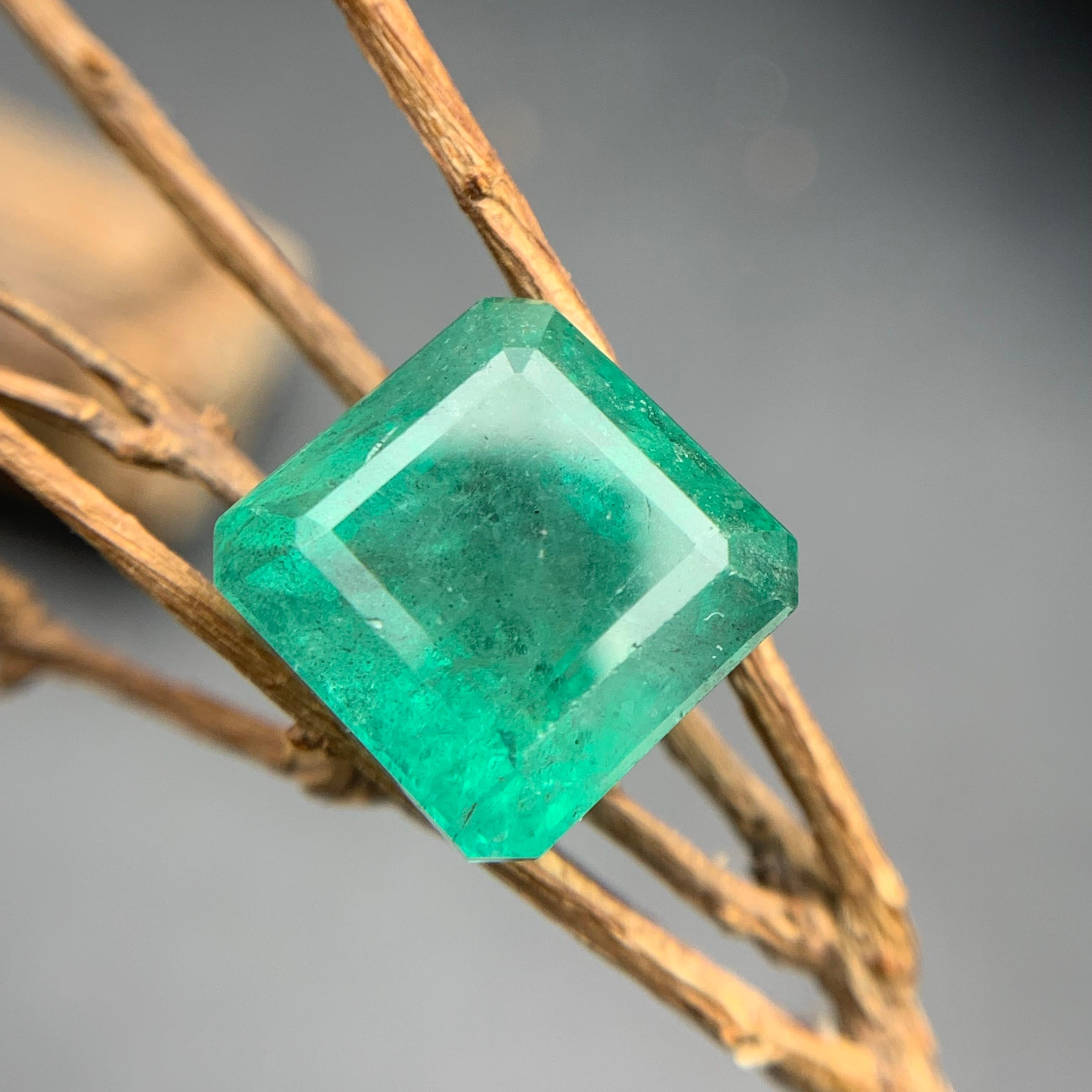 Bluish Green Natural Emerald Ring, Pendant Loose Gemstone 10.75 Ct for Jewelry For Sale 7