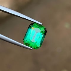 Bläulich grüner Turmalin 3.04 Karat Cushion-Schliff Natürlicher loser Edelstein für Ring