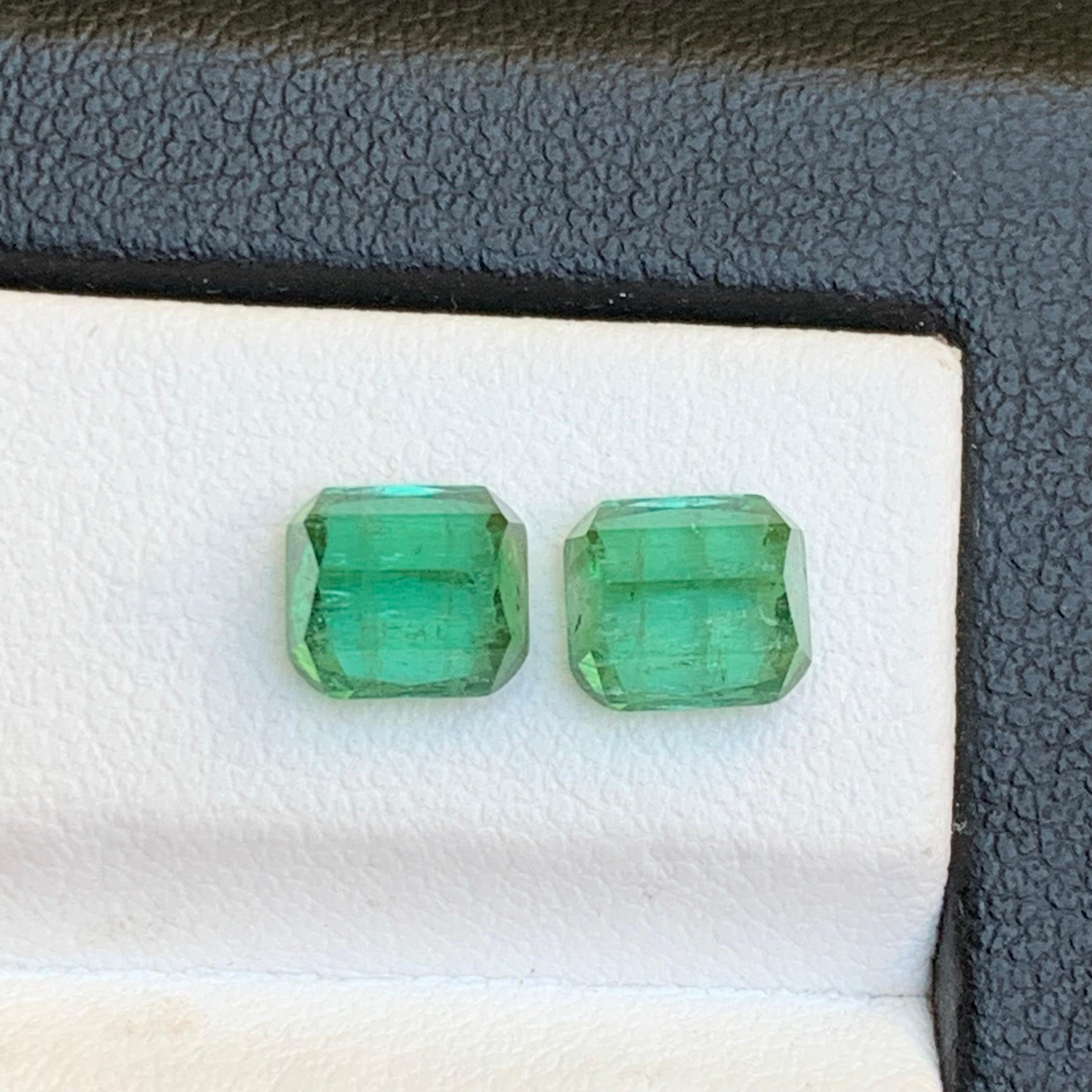 Women's or Men's Bluish Hue Green Natural Tourmaline Earring Loose Gemstones Pair 3.05 Ct-Jewelry For Sale