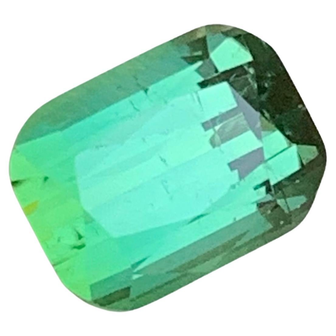 Bluish Hue Light Green Natural Tourmaline Ring Loose Gemstone 3.85Ct for Jewelry