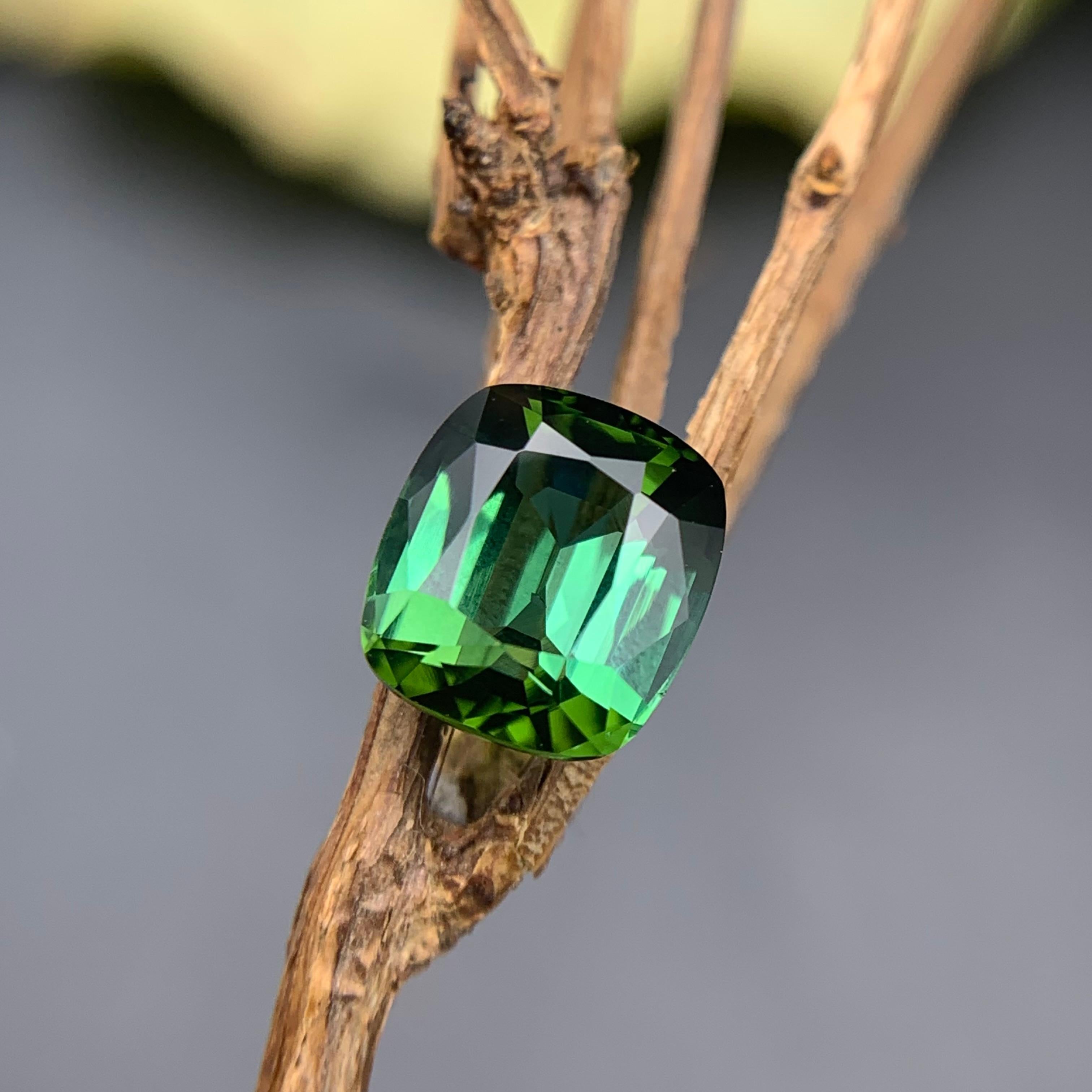 Gemma sfusa di tormalina naturale dalla tonalità bluastra e ricca di verde per anelli, collane, ciondoli o qualsiasi altro gioiello - taglio a cuscino!

💎 TIPO DI GEMMA: Tormalina
⚖️ PESO: 2,25 Carati
🪚 FORMA E TAGLIO: Taglio a cuscino
📏