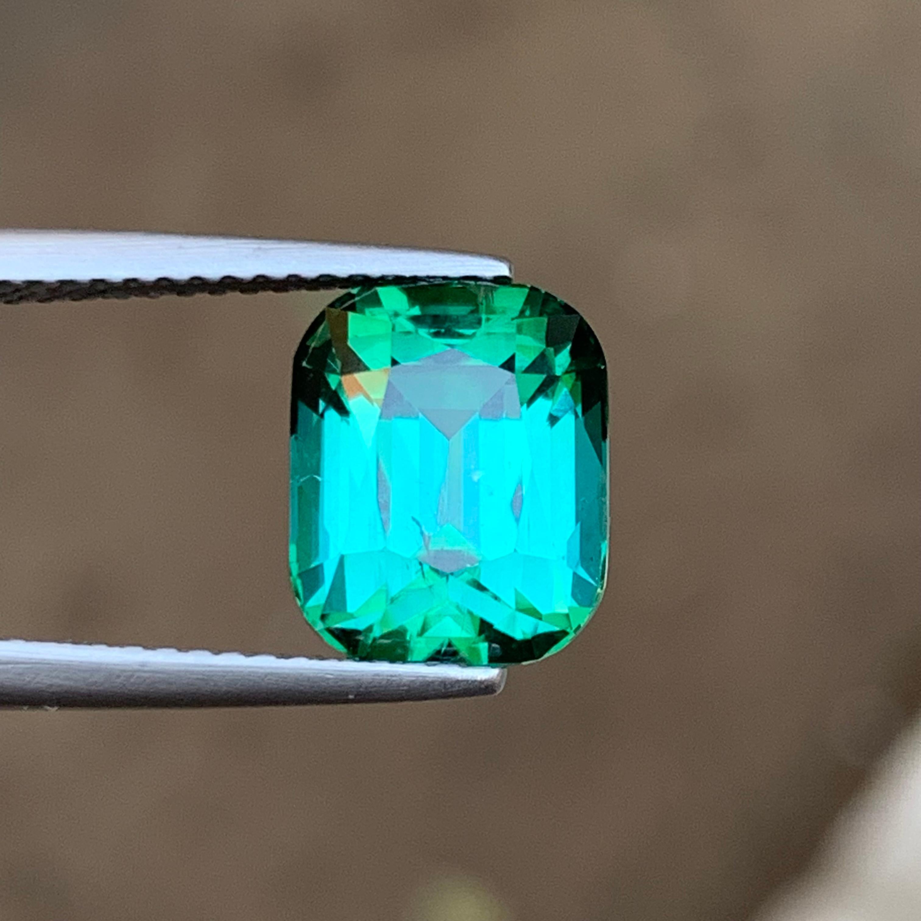 Natürlicher bläulicher Lagunengrüner Turmalin im Kissenschliff - Lose Edelsteine für Ringe, Verlobungsschmuck, Erbstücke und benutzerdefinierte Feineinstellungen!

💎 EDELSTEINART: Turmalin
⚖️ GEWICHT: 4,75 Karat
🪚 FORM & SCHNITT: Kissenschliff
📏