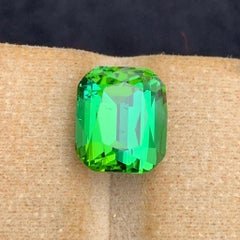 Bluish Mint Green Natural Tourmaline 6.80 Ct Cushion Cut Loose Gemstone for Ring