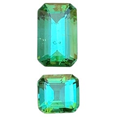 Greene & Greene Greene - Tourmaline Naturelle 2.45 Ct Emerald Cut-Jewelry