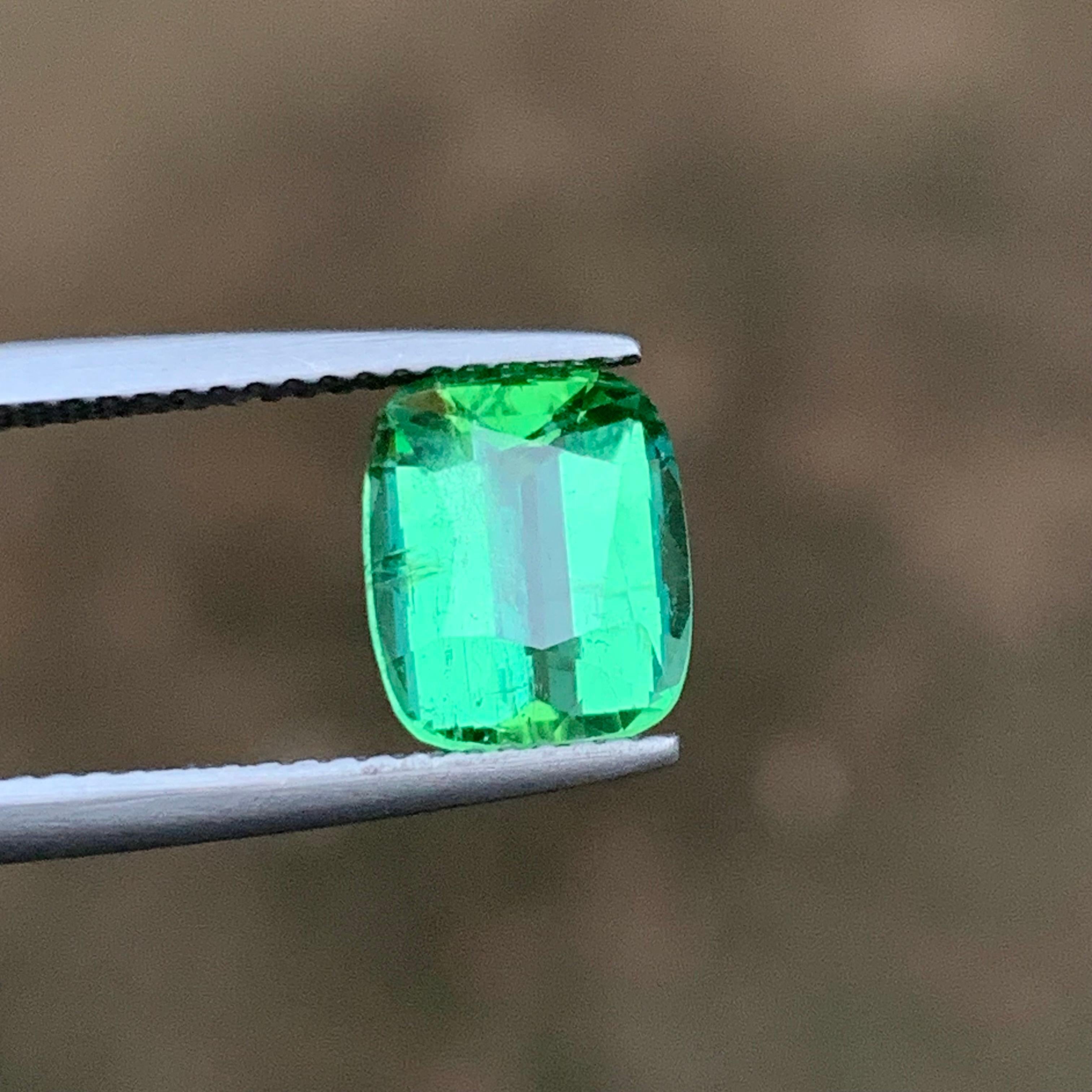 Bluish Mint Green Natural Tourmaline Loose Gemstone for Ring, Pendant or any other Jewelry Setting-Cushion Cut from Kunar, Afghanistan!!

💎 GEMSTONE TYPE: Tourmaline
⚖️ WEIGHT: 2.90 Carats
🪚 SHAPE & CUT: Cushion Cut
📏 SIZE (MM): 9.18 x 7.66 x