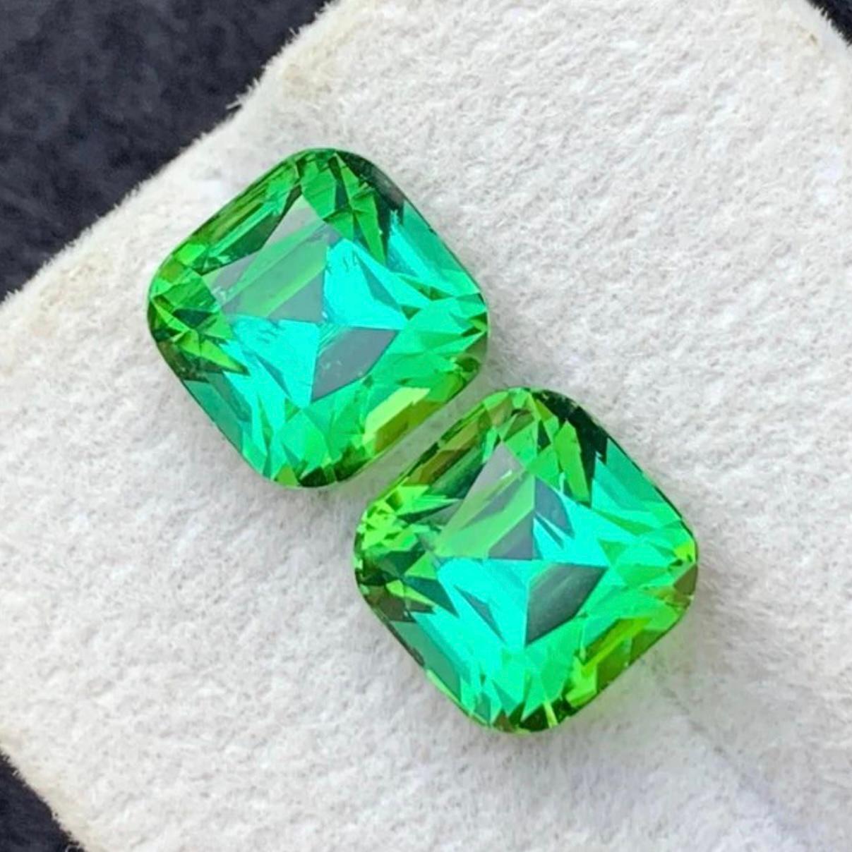 Absolut Gorgeous Dazzling Rare Vibrant Bluish Minty Green Natural Turmalin Lose Edelstein Paar, für Ohrringe, Halskette Anhänger, oder jede andere Schmuck-Fassung-Kissen-Schliff aus Kunar Afghanistan!!!

💎 EDELSTEINART: Turmalin
⚖️ GEWICHT: 7,75