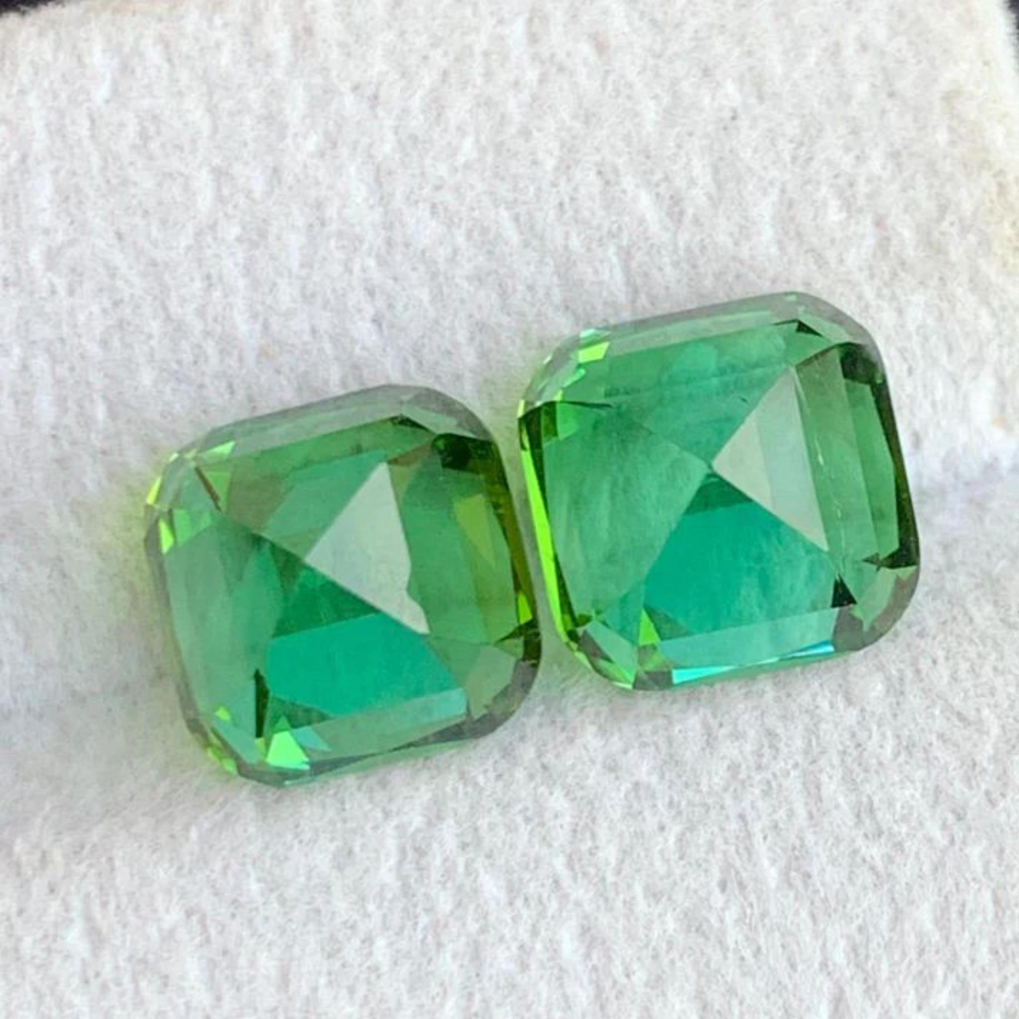 Bläulich Minzgrün Natürliche Turmalin Ohrringe Lose Edelstein Paar Set 7,75 Ct im Zustand „Neu“ im Angebot in Peshawar, PK