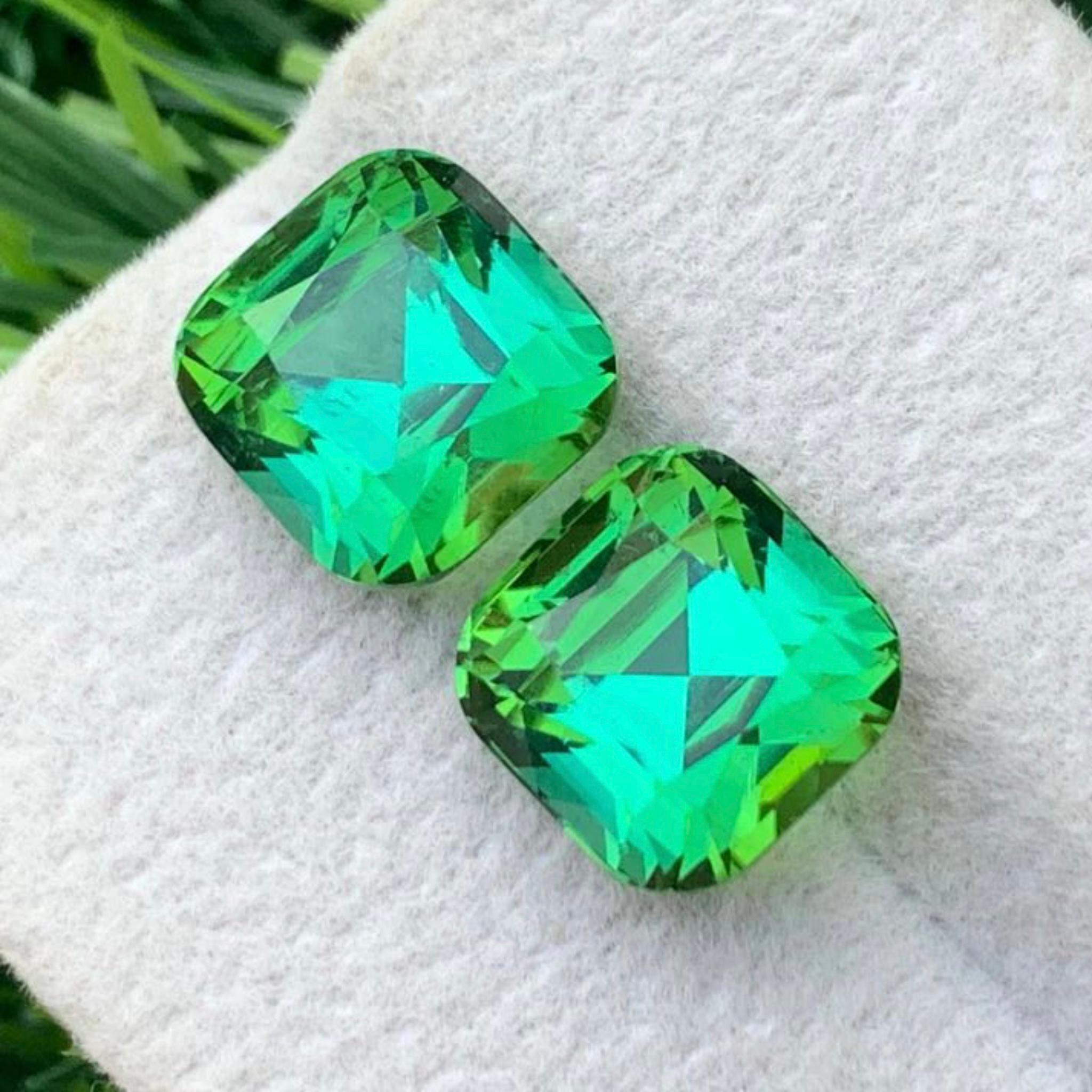 Bläulich Minzgrün Natürliche Turmalin Ohrringe Lose Edelstein Paar Set 7,75 Ct im Angebot 1