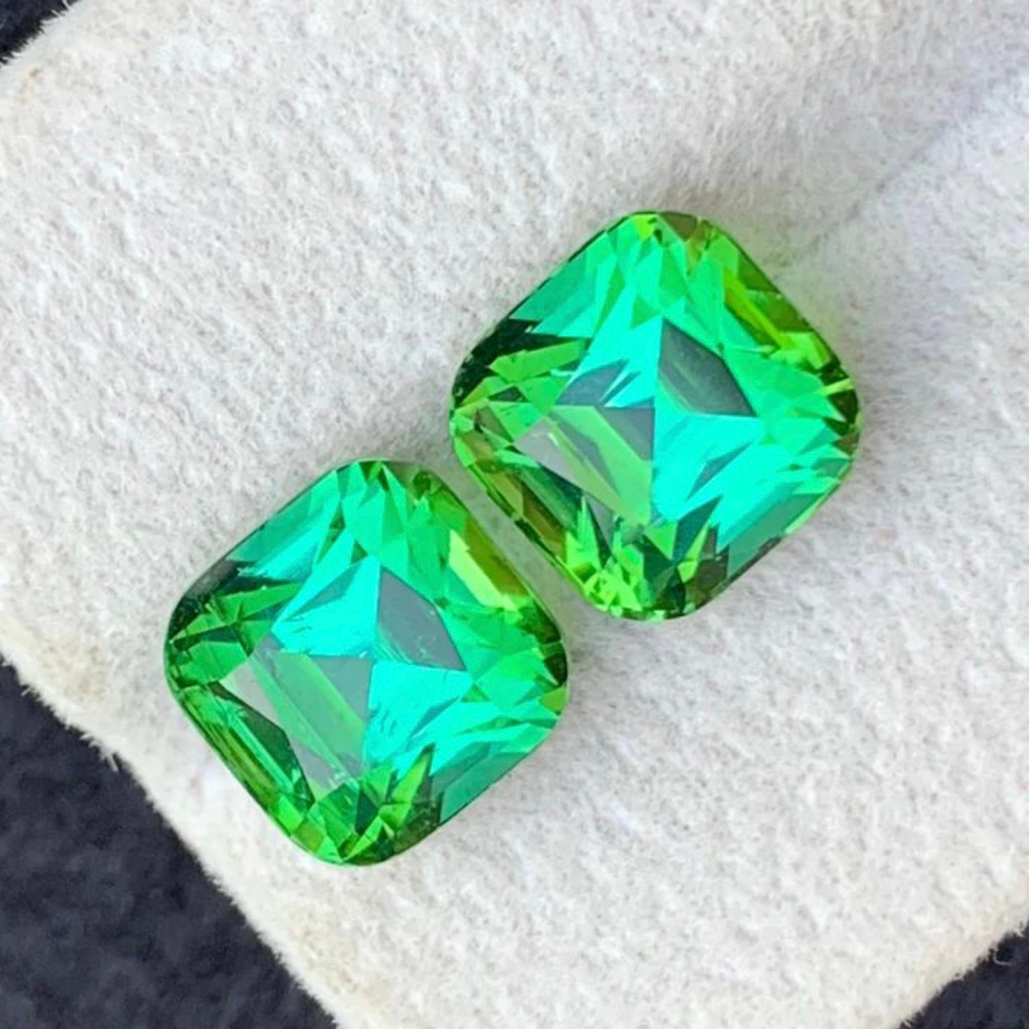 Bläulich Minzgrün Natürliche Turmalin Ohrringe Lose Edelstein Paar Set 7,75 Ct im Angebot 3