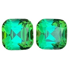 Bläulich Minzgrün Natürliche Turmalin Ohrringe Lose Edelstein Paar Set 7,75 Ct