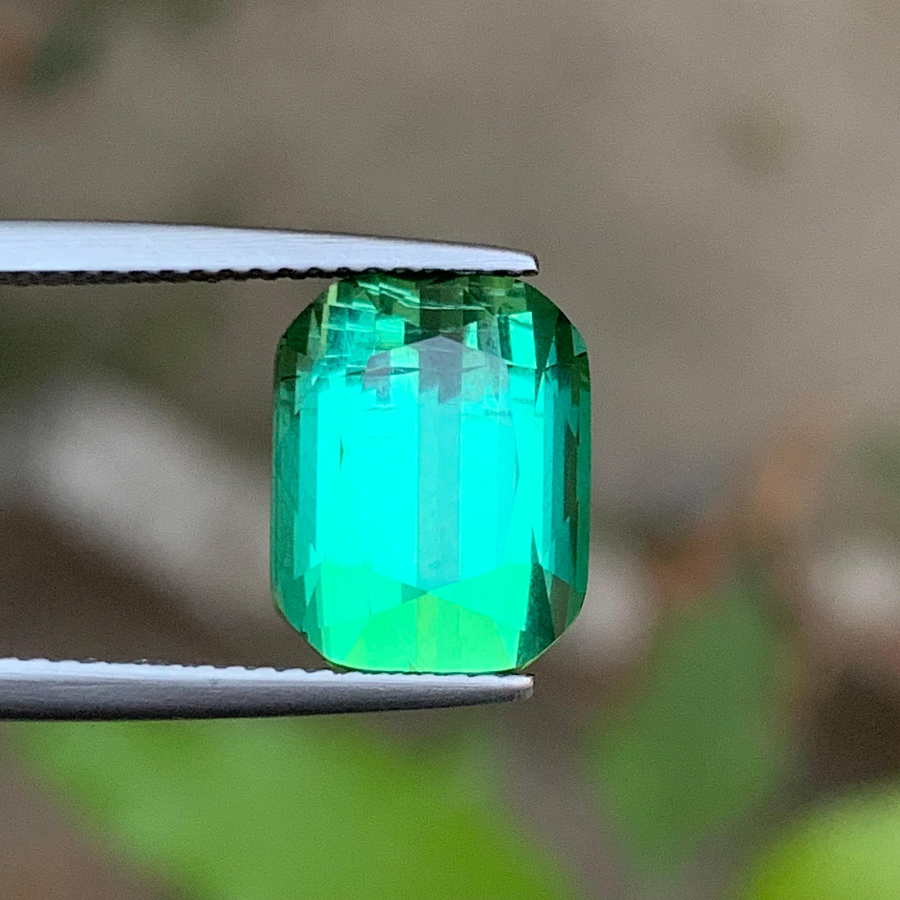 Bluish Minty Green Natural Tourmaline Loose Gemstone for Ring, Necklace Pendant, Bracelet or any other Jewelry Setting-Cushion Cut!!

💎 GEMSTONE TYPE: Tourmaline
⚖️ WEIGHT: 7.60 Carat
🪚 SHAPE & CUT: Cushion Cut
📏 SIZE (MM): 11.76 x 9.37 x 8.07
🌈