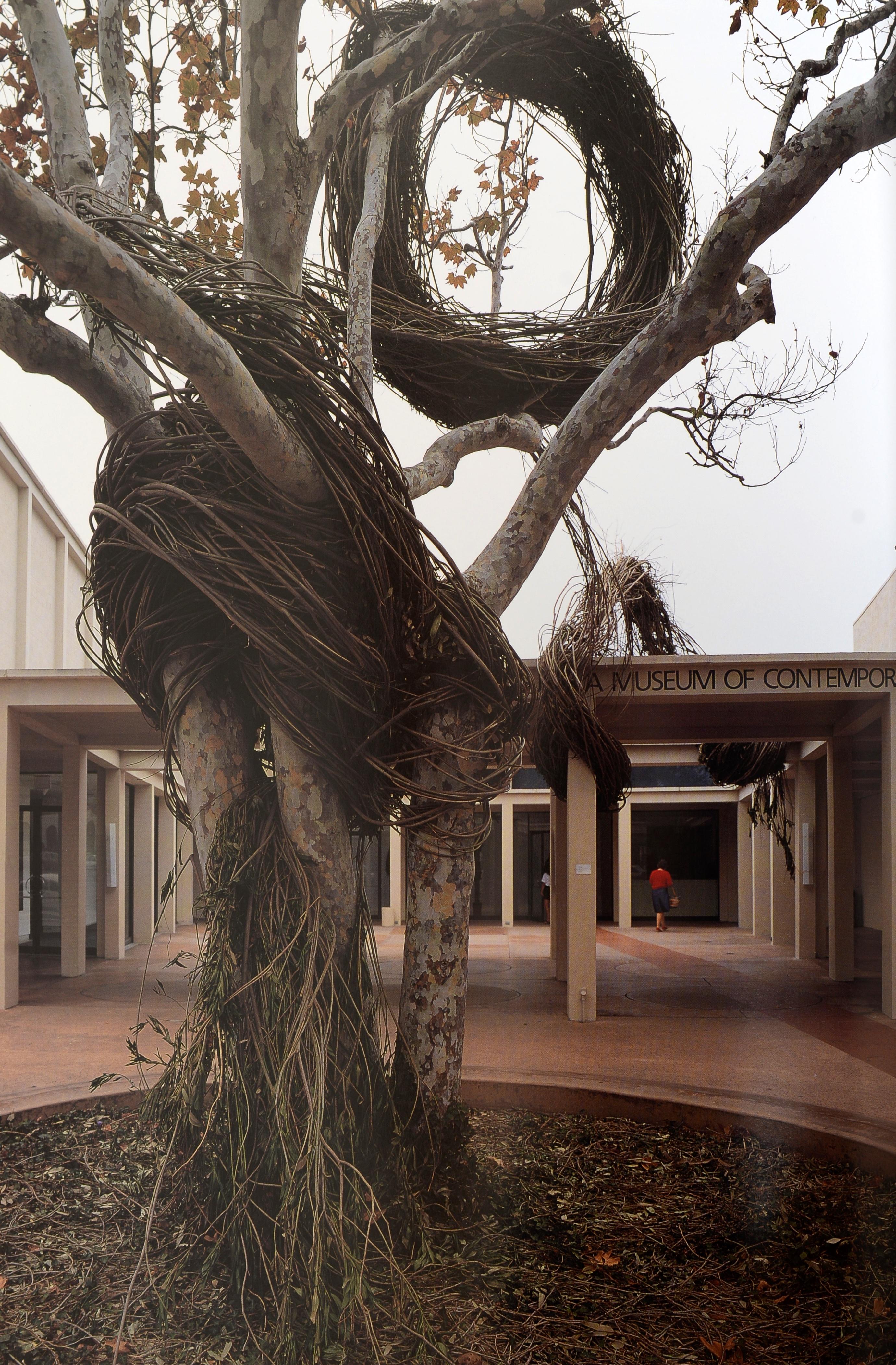 Desdibujando las fronteras Arte de instalación 1969-1996, por Ronald Onorato en venta 12